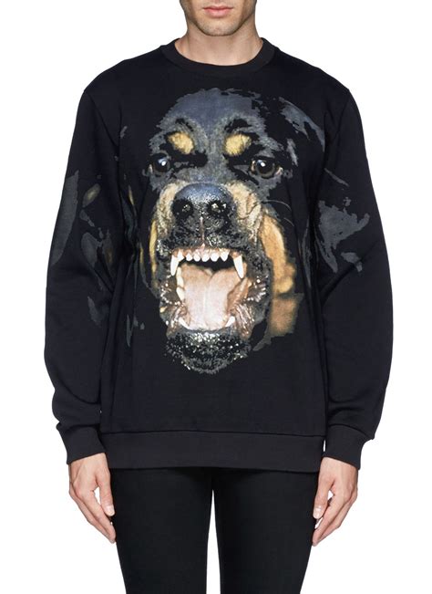 givenchy rottweiler sweater sale|givenchy rottweiler print sweatshirt.